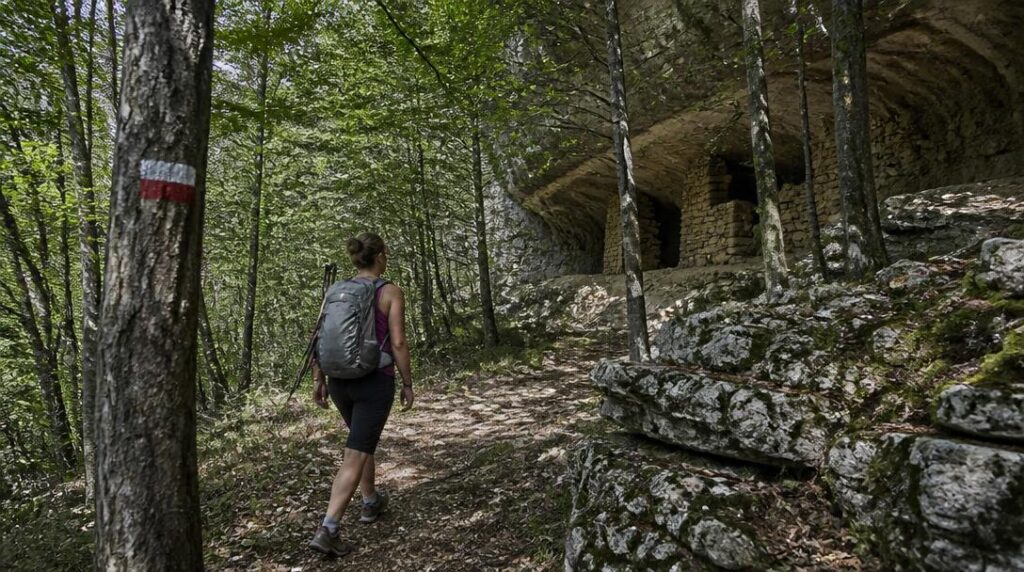 GR 6 en forêt calcaire du Périgord Noir